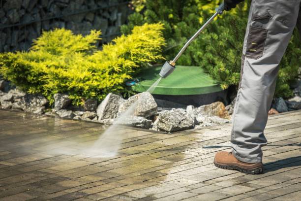 Best Solar Panel Cleaning  in La Habra Heights, CA